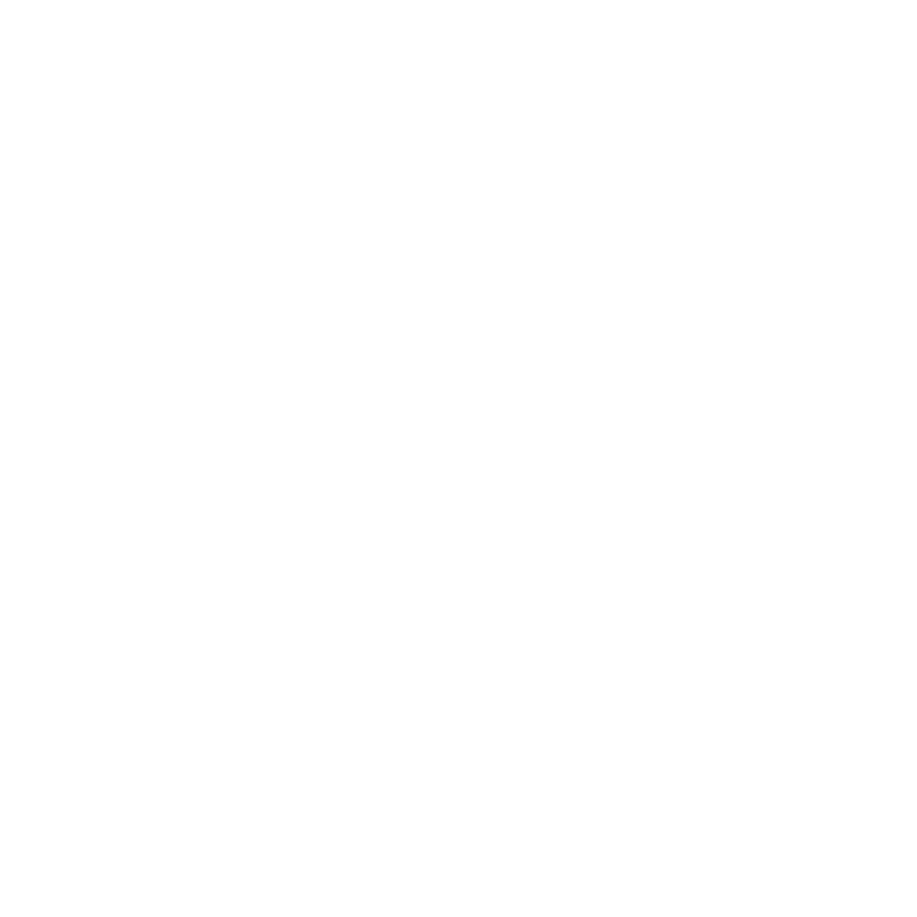 icoontje 17 jaar